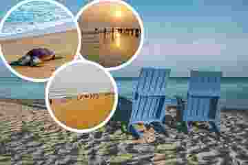 Beach-Tour-of-Odisha